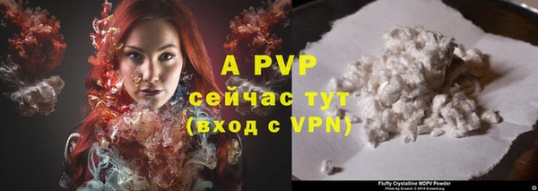PSILOCYBIN Волосово