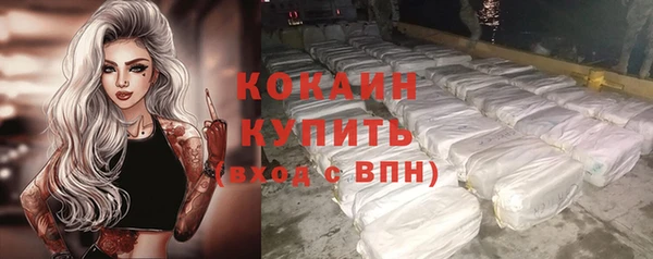 ALPHA PVP Гвардейск